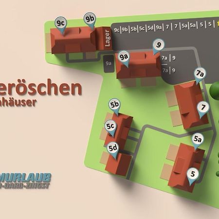 Heideroeschen Park Heideroeschen 5C Villa Zingst Bagian luar foto
